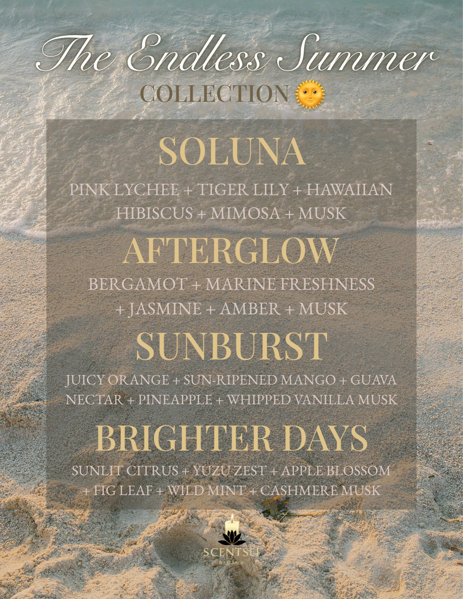 The Endless Summer Collection 🌞