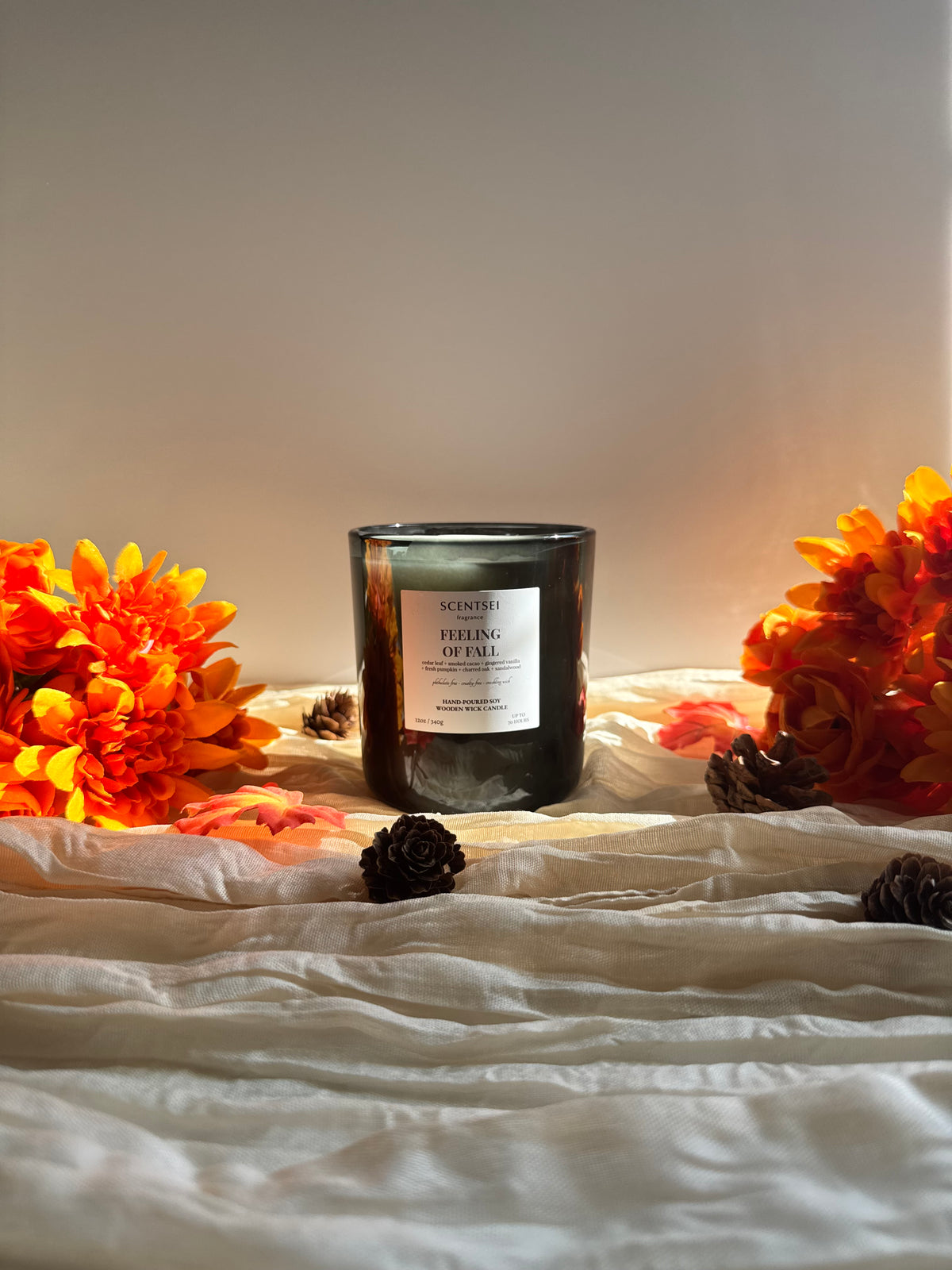 FEELING OF FALL