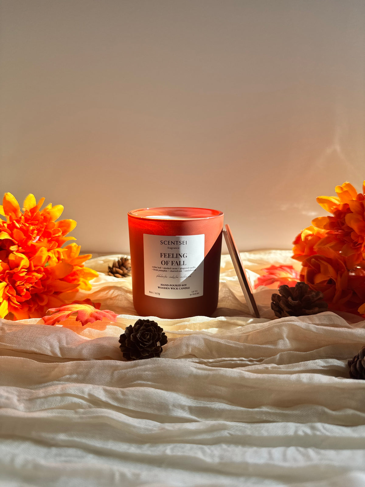 FEELING OF FALL