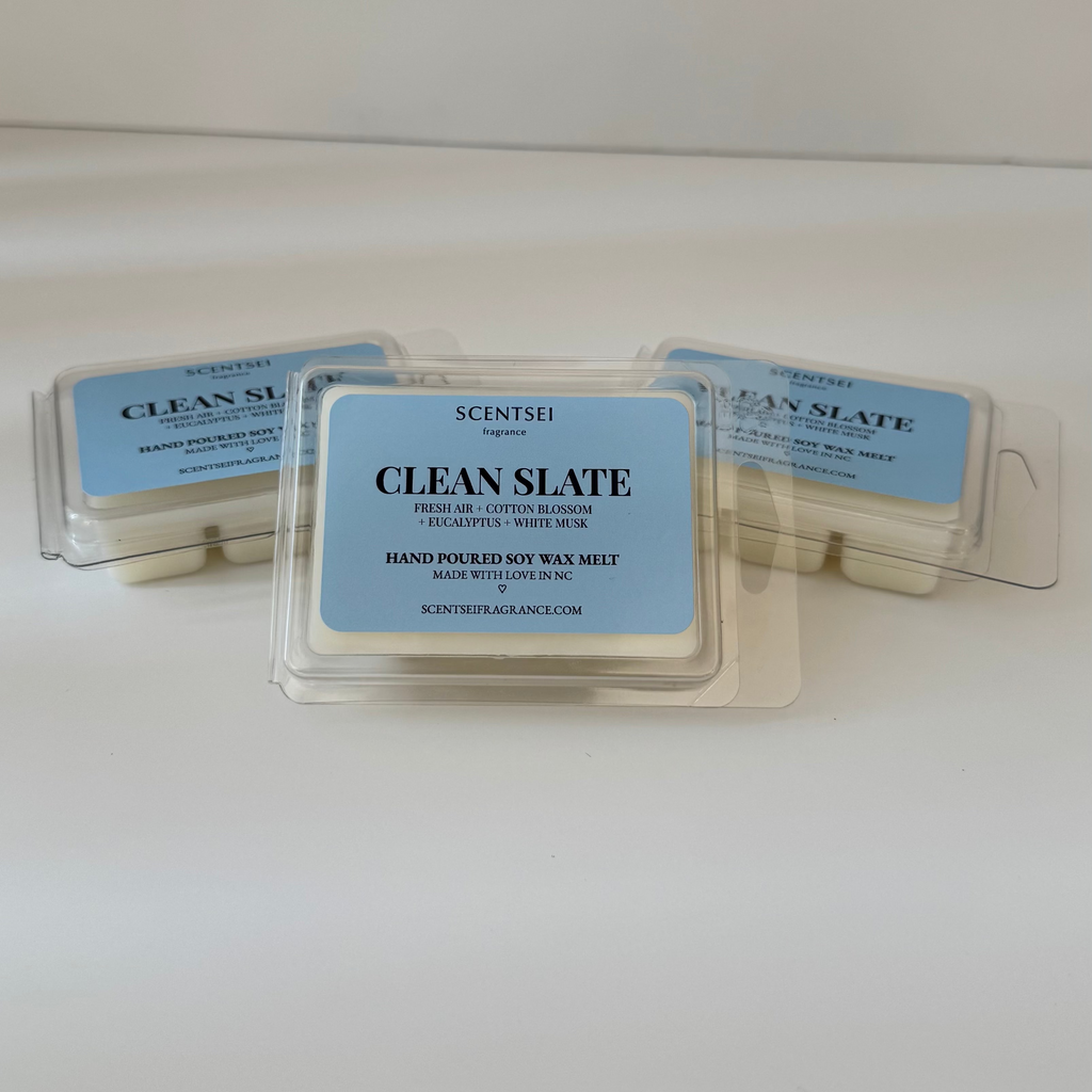 CLEAN SLATE ♡ Wax Melt